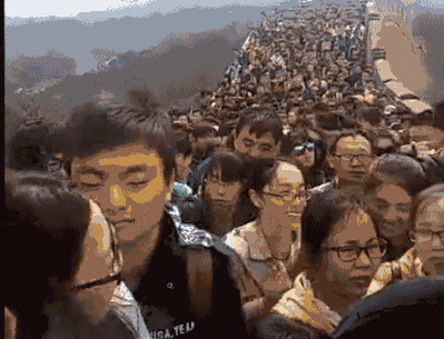 11IMG_0556.gif