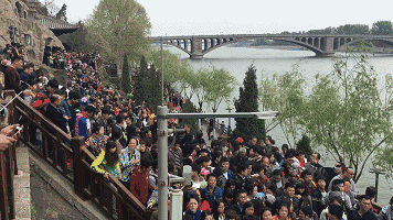 11IMG_0557.gif