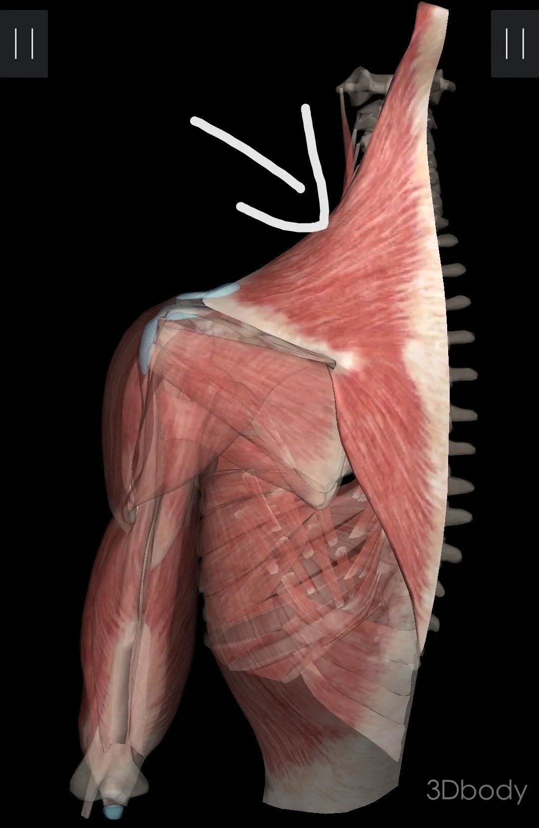 640.webp (5).jpg