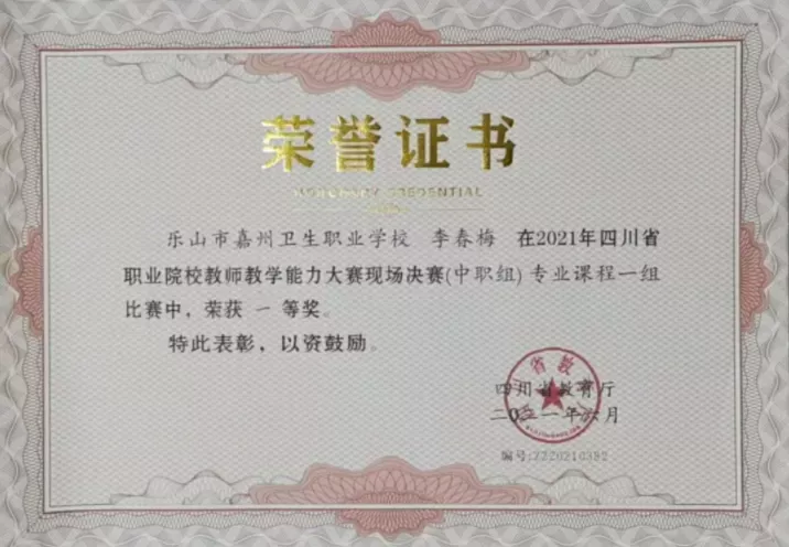 李春梅省赛一等奖.png